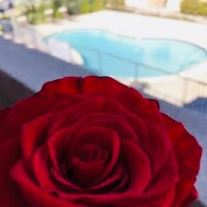 Meet your Posher, Iris